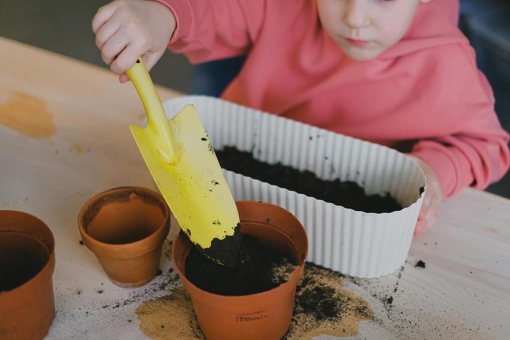 A Guide to Seasonal Gardening for Beginners