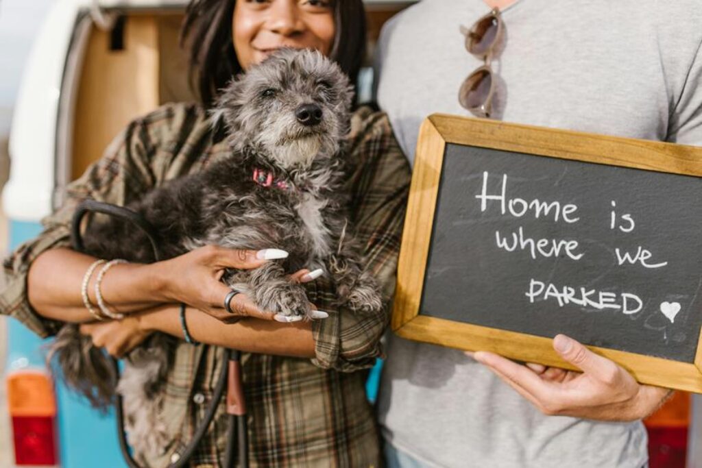 What Are the Best Options for Camping With Pets?