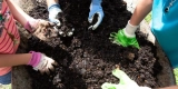 The Role of Composting in Organic Gardening