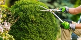 How Do You Safely Dispose of Sharp Gardening Tools?